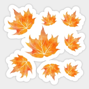 Celebrate Autumn with Fall Maple Leaves in a Blue Background Sticker